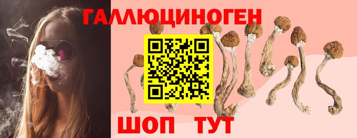 Сердобск  Галлюциногенные грибы ЛСД  Вход с VPN 